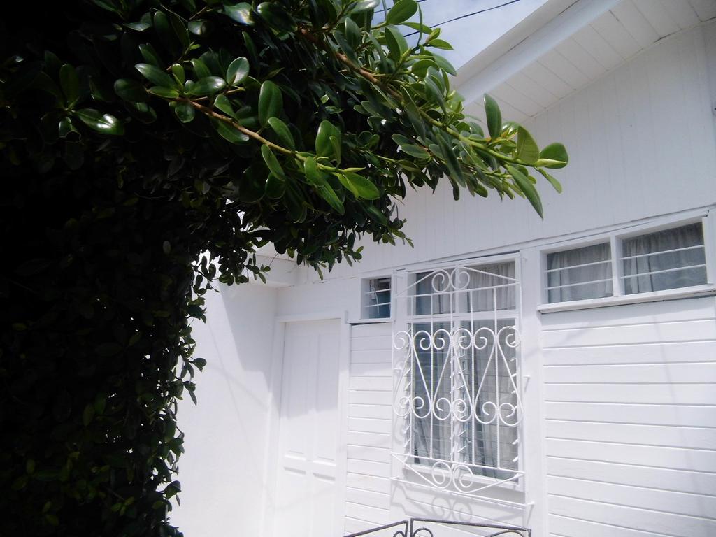 Hotel Bight View San Andrés Exterior foto